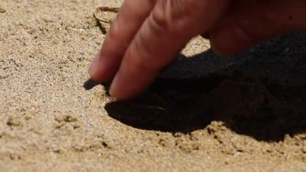 Hand Person Digging Sand Find Golden Bitcoin Coins — Stock videók