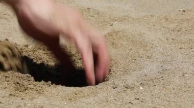 Bitcoin 'i simgeleyen büyük B harfiyle altın sikke eken kişinin eli.