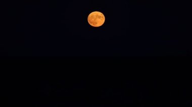 big red full moon as it rises from the sea at night