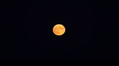 big red full moon as it rises from the sea at night