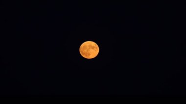 big red full moon as it rises from the sea at night
