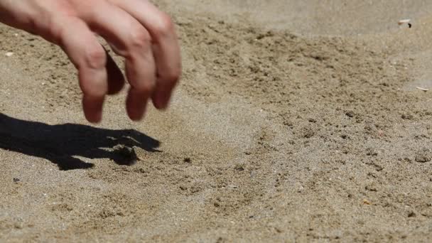 Hand Person Digging Sand Find Golden Bitcoin Coins — Video