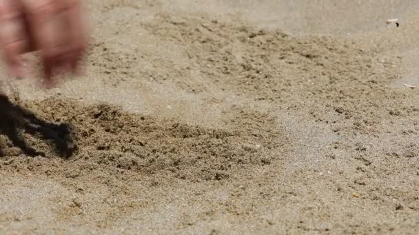 Hand Person Digging Sand Find Golden Bitcoin Coins — Αρχείο Βίντεο