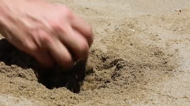 Hand Person Digging Sand Finding Golden Coin Symbolizing Bitcoin — Video
