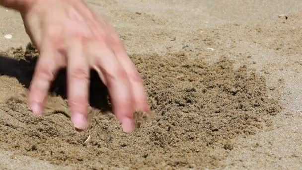 Hand Person Digging Sand Finding Golden Coin Symbolizing Bitcoin — Video Stock