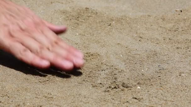 Hand Person Who Finds Golden Bitcoin Coins Sand — Video