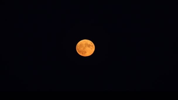 Big Red Full Moon Rises Sea Night — ストック動画