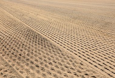 Yazın ovalara ve ekinlere vuran korkunç kuraklık yüzünden filizsiz, filizsiz yanan bir tarla.