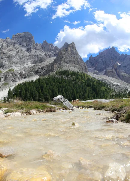 Water Torrent Flows Foothills Dolomites Mountains Northern Italy Summer — Fotografia de Stock