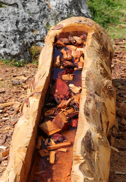 Trunk Tree Hollowed Out Craftsman Create Natural Planter Mountains Water — Foto de Stock