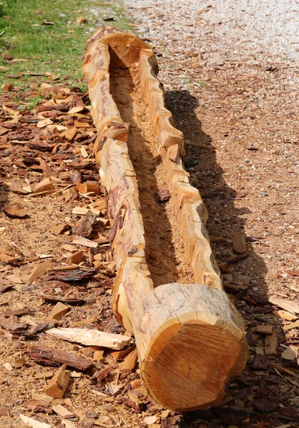 Trunk Tree Hollowed Out Craftsman Create Natural Planter Mountains — Fotografia de Stock