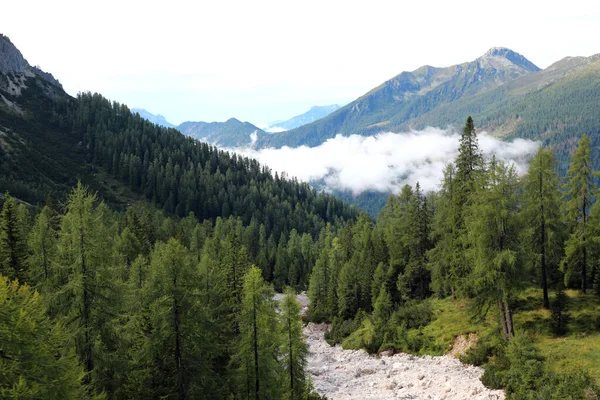 Долина Посреди Гор Облаками Зелеными Деревьями — стоковое фото