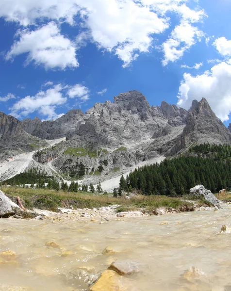 Clear Water Torrent Flows Foothills Dolomites Mountains Northern Italy Summer — Foto de Stock