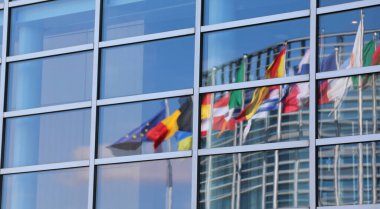 european flags on the background of the European parliament building