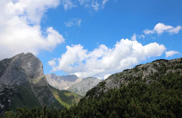 Places First World War Pal Piccolo Locality Alps Border Italy —  Fotos de Stock