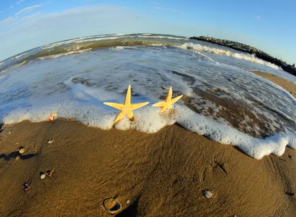 Two Starfish Seashore Photographed Fish Eye Lens Waves Sea — Stock Photo, Image