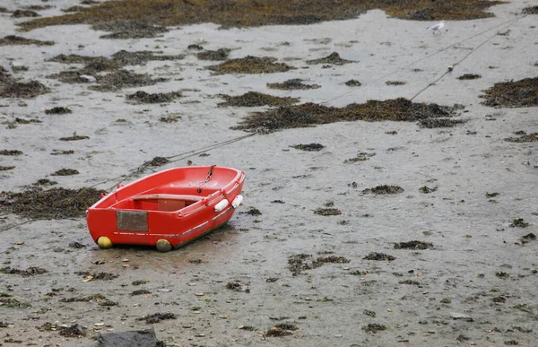Gestrandetes Rot Boot Auf Dem Schlammigen Grund Des Meeres Bei — Stockfoto