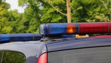 blue flashing of the siren of the police car during a check in the public park of the city