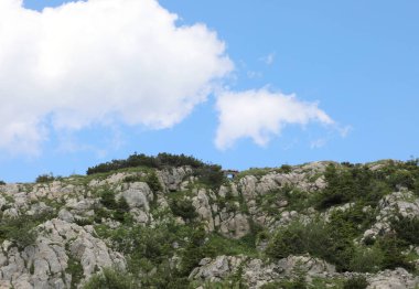 PAL PICCOLO bölgesindeki Birinci Dünya Savaşı yerleri İtalya ile Avusturya sınırındaki dağlarda