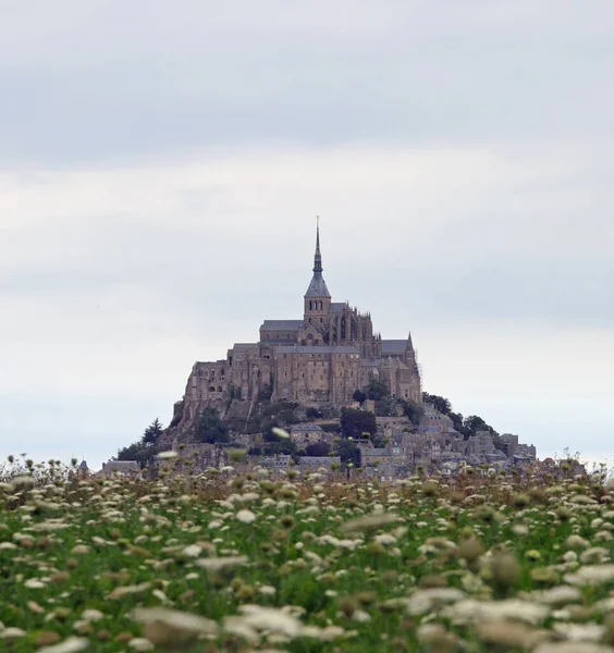 Пагорб Відомим Французьким Абатством Монт Сен Мішель Півночі Франції Квітковою — стокове фото