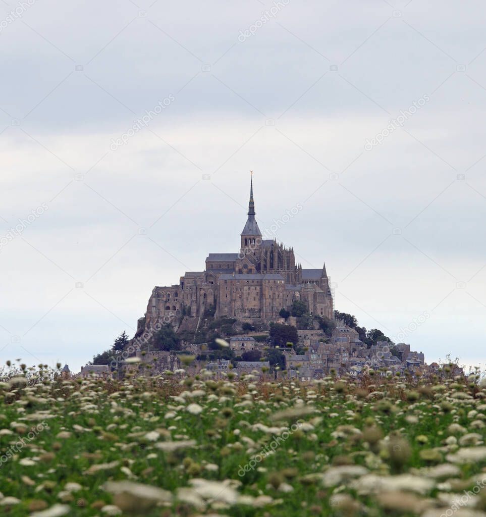 Hill with the famous French abbey of Mont Saint Michel In the North of France and the flowery meadow