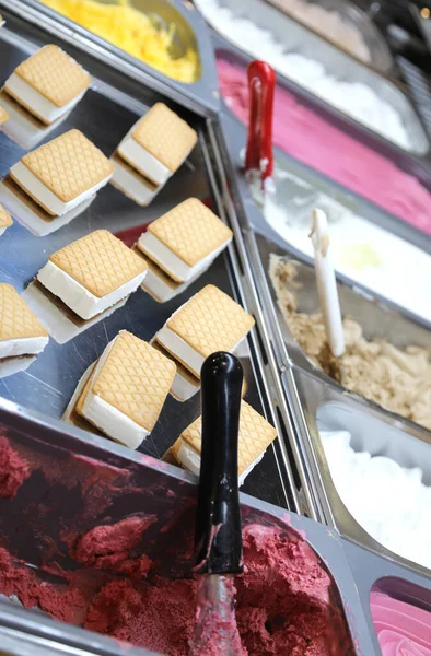 Ice Cream Counter Biscuits Filled Ice Cream Many Other Flavors — Stockfoto