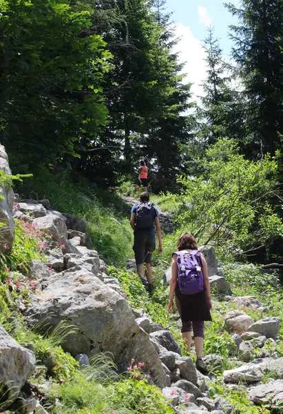 Familia Caminando Por Sendero Las Montañas Una Excursión Verano — Foto de Stock