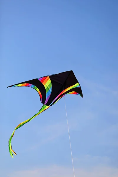 文字列に接続されている青い空に複数の色の縞模様の黒い凧 — ストック写真