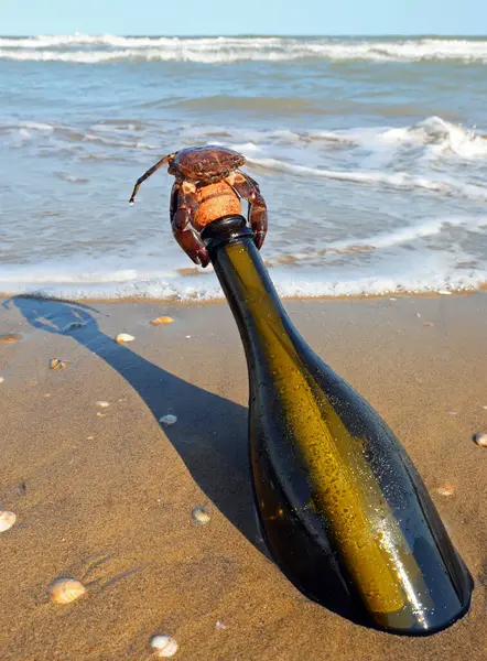 bottle with secret message closed with a crab on top with a cork by the sea