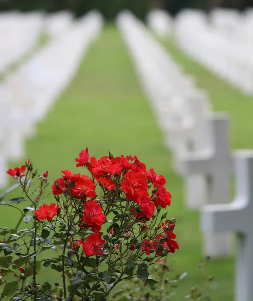 Colleville Sur Mer Fra Francia Agosto 2022 Cimitero Militare Americano — Foto Stock