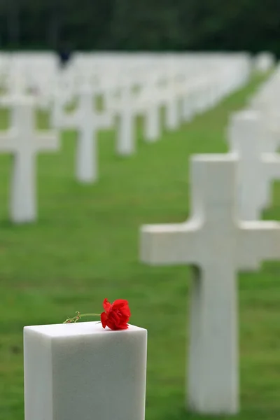 Colleville Sur Mer Fra Francia Agosto 2022 Cementerio Militar Estadounidense — Foto de Stock