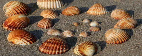 Lastury Různých Velikostí Písku Tropické Pláže Létě — Stock fotografie
