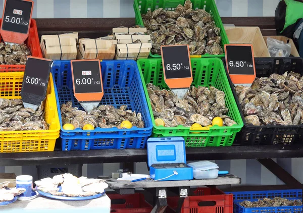 Many Crates Freshly Caught Oysters Sale Fishmonger Stall — Stock Photo, Image