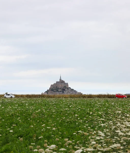 Famosa Abadia Francesa Mont Saint Michel França Prado Florido — Fotografia de Stock