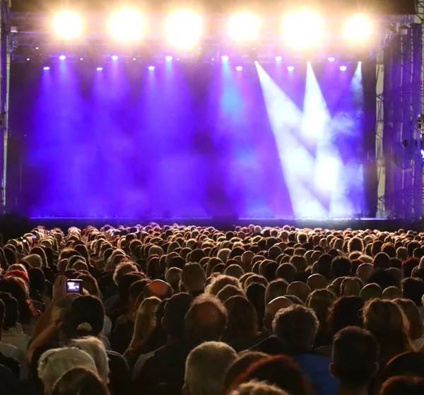 heads of many people not recognizable during the show and the customizable screen at the bottom