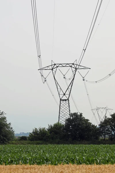 Pylon High Voltage Electricity Cables Wheat Field Ripe Yellow Ears — Fotografie, imagine de stoc