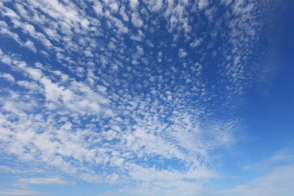 Ampio Panorama Con Cielo Blu Intenso Nuvole Bianche Senza Aero — Foto Stock