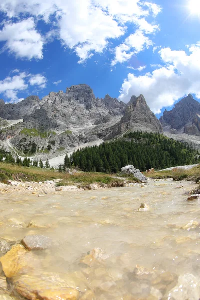 Průzračný Pramenitý Potok Dolomit Evropských Alpách Severní Itálii — Stock fotografie