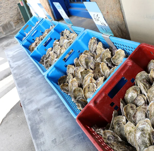 crates of oysters of various sizes for sale in the city in northern france