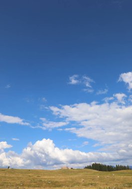 Geniş panorama, otlağın altı ahır ve mavi gökyüzünde beyaz bulutlar.