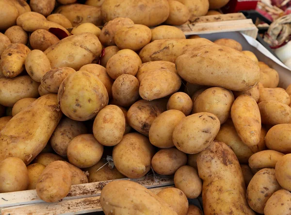 Patatas Recién Cosechadas Con Cáscara Para Venta Puesto Del Mercado — Foto de Stock