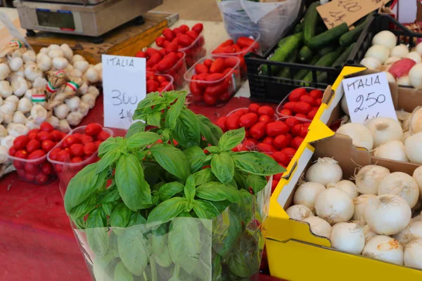 市場で販売されるグリーンフラッグバジルホワイト玉ねぎとレッドトマトの色を持つ典型的なイタリアの製品 — ストック写真