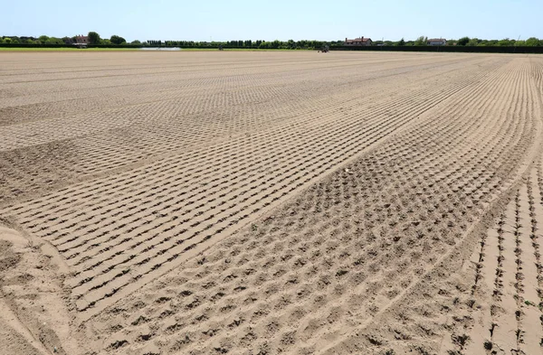 Large Field Cultivated Completely Arid Due Drought Summer — Stockfoto