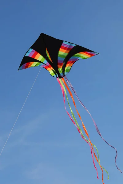 Grande Aquilone Nero Con Strisce Arcobaleno Multicolore Vola Alto Nel — Foto Stock