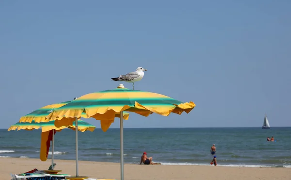 海边沙滩上的绿色和黄色的遮阳伞 — 图库照片