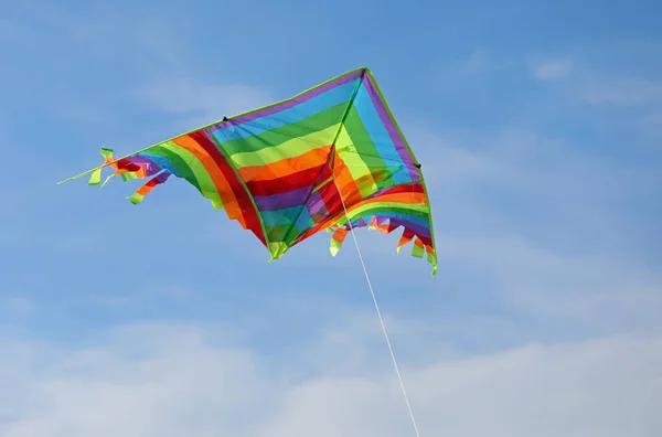 彩虹斑纹的大风筝在蓝天高高地飞着 系在一根绳子上 — 图库照片