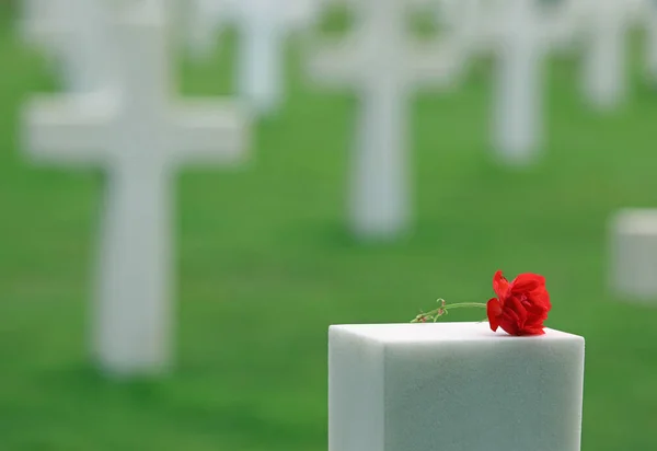 Colleville Sur Mer Fra France August 2022 American Military Cemetery — Stock Photo, Image