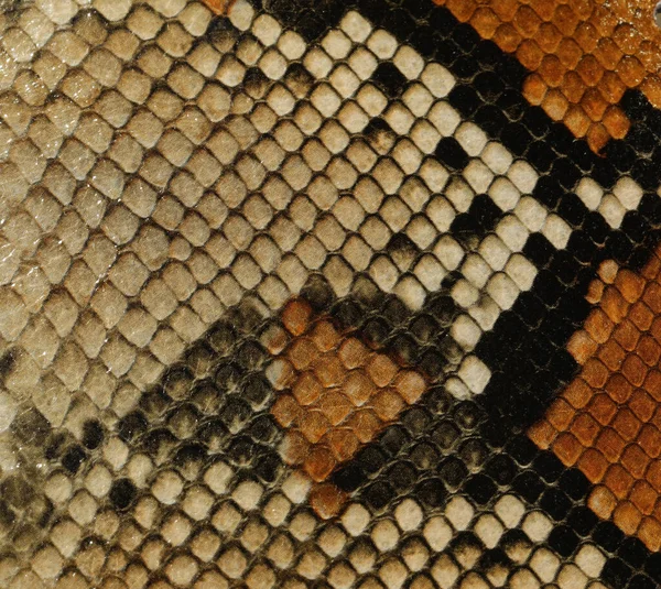 Detal Skóry Węża Tworzenia Akcesoriów Modowych — Zdjęcie stockowe