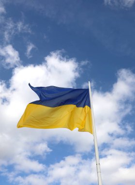 Ukrayna bayrağı mavi gökyüzü renginde ve sarı ay çiçekleri altında ve gökyüzü zemininde