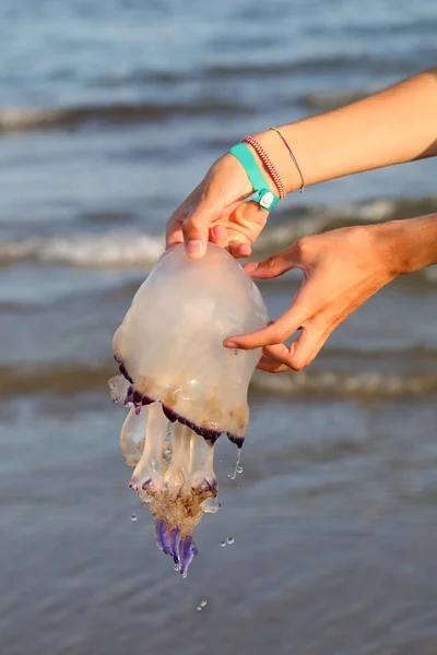 Hand Holding Jellyfish Stinging Tentacles Seashore Summer — Stock Photo, Image